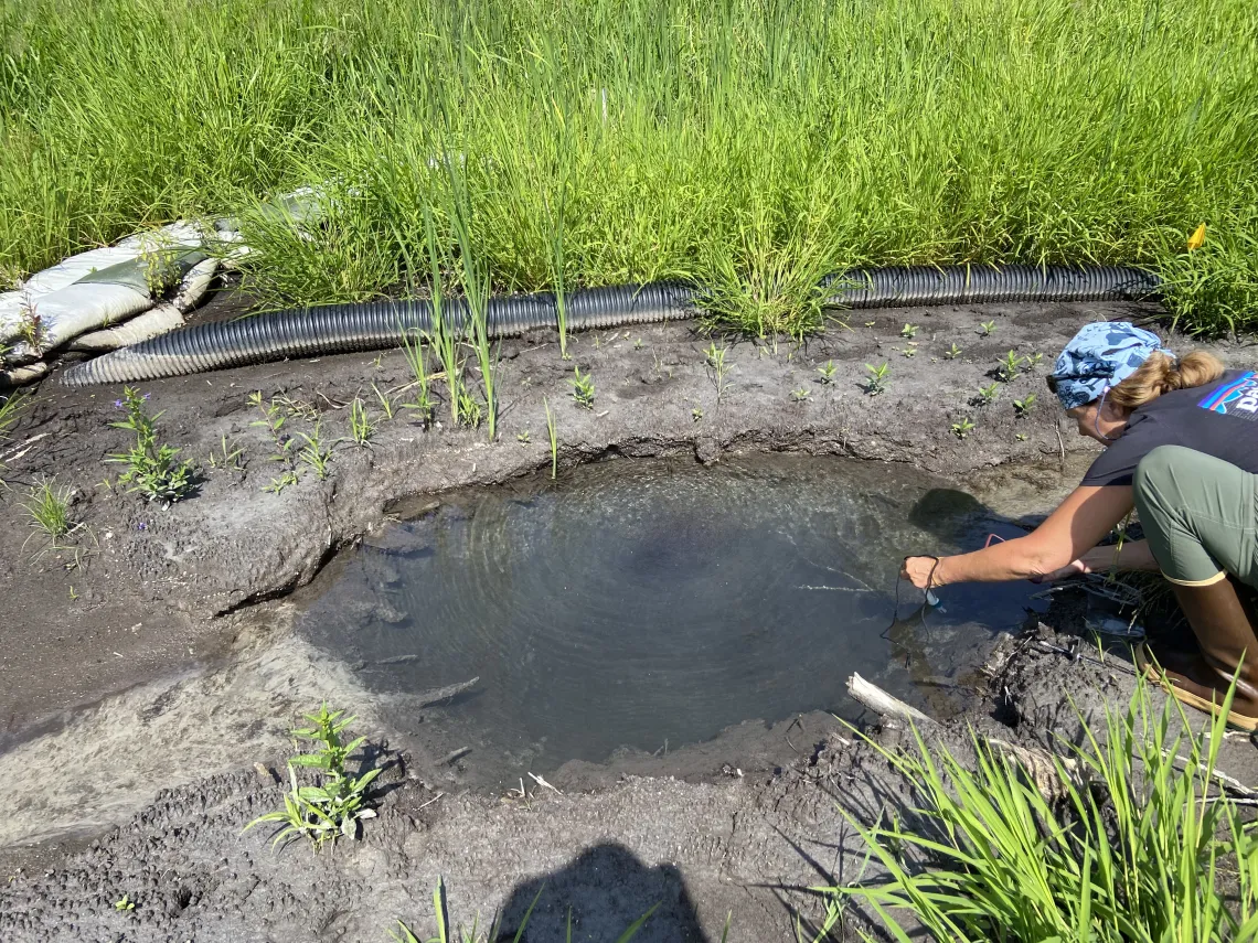 Waadookawaad Amikwag member measuring water at a groundwater upwelling site that was not reported by Enbridge or state agencies in the recent enforcement action. Photo Credit: Waadookawaad Amikwag