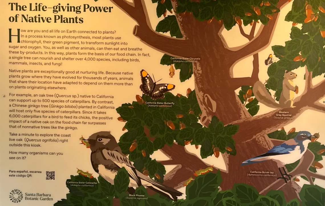 Ojai Valley Land Conservancy poster native plants