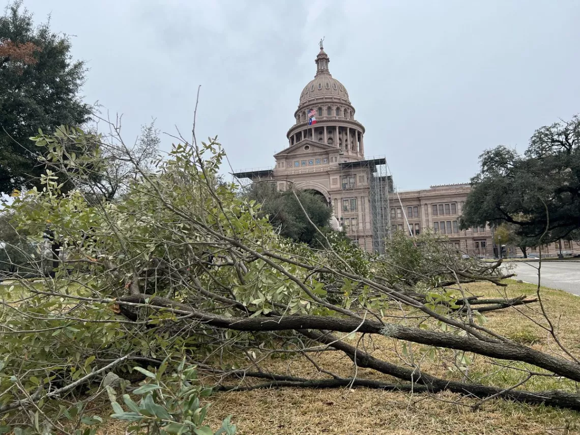 Branches down at Texas Capitol