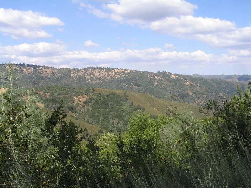 Rolling hills at Henry Coe State Park