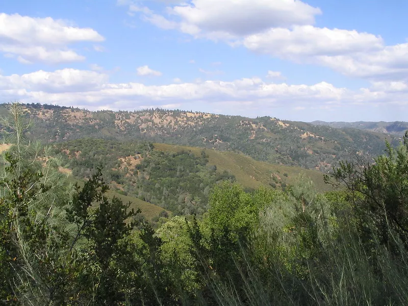 Rolling hills at Henry Coe State Park