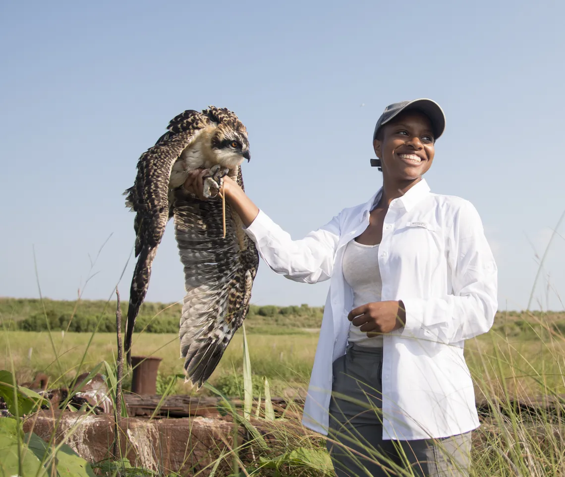 Diamon Clark holding an osprey