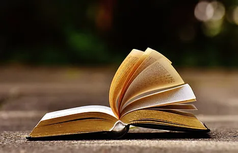 book pages