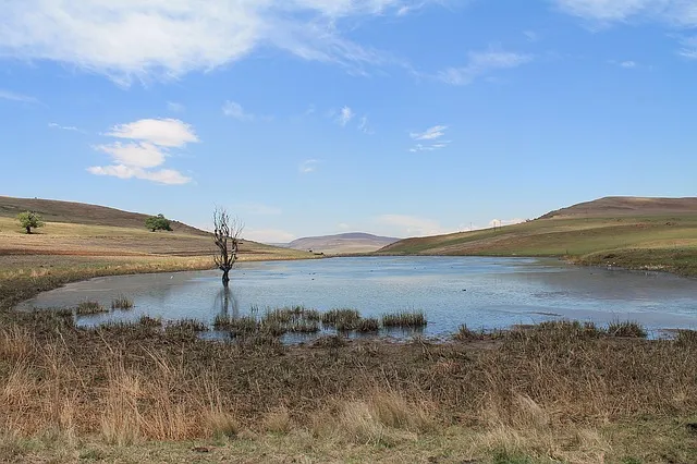 dam drying up