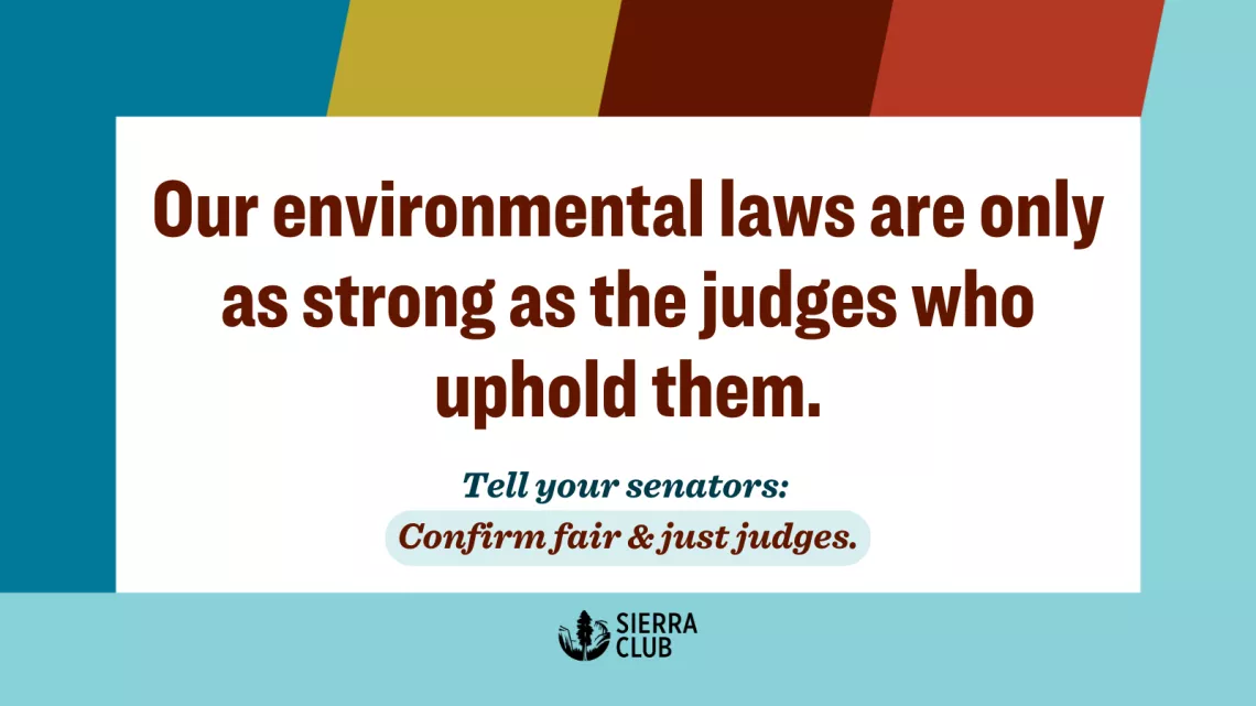 Our environmental laws are only as strong as the judges who uphold them. Tell your senators: Confirm fair and just judges!
