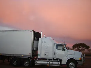 white truck