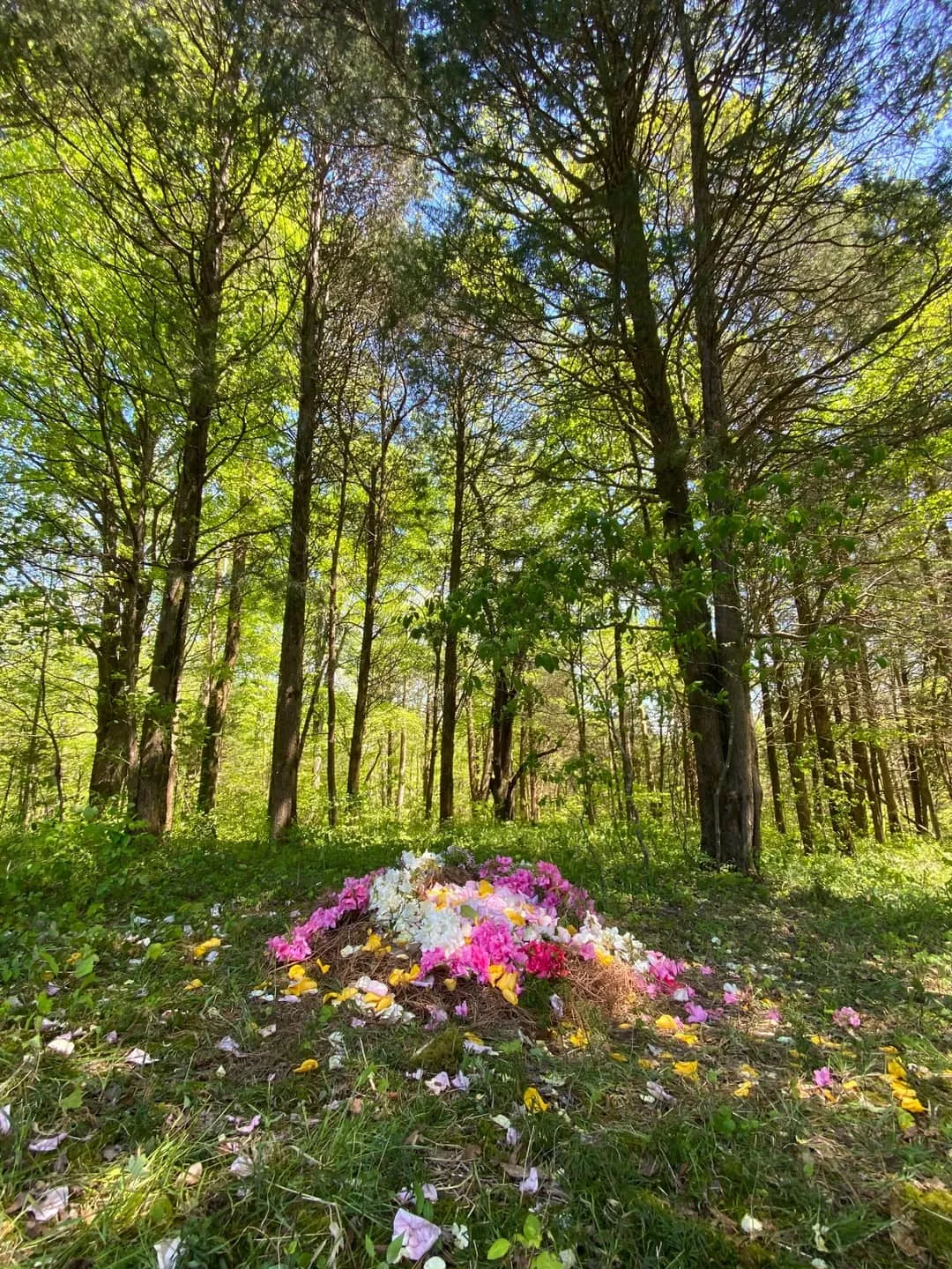 Burial site at Larkspur