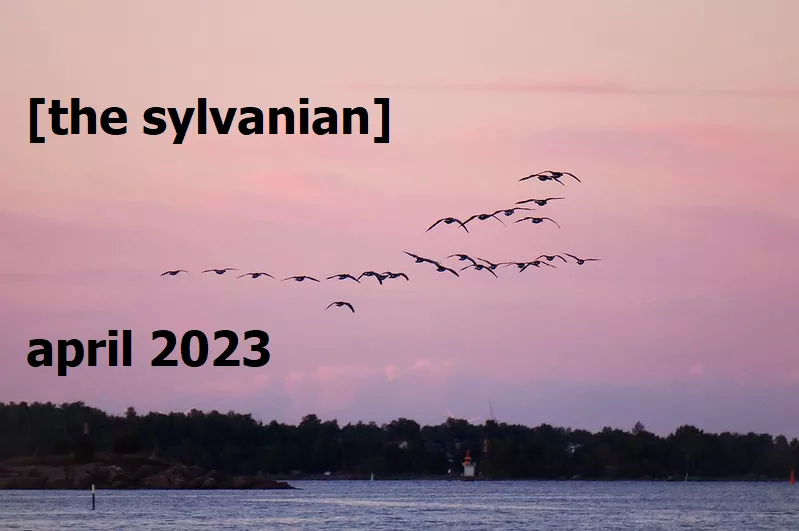 Flock of migrating birds against a pink sky