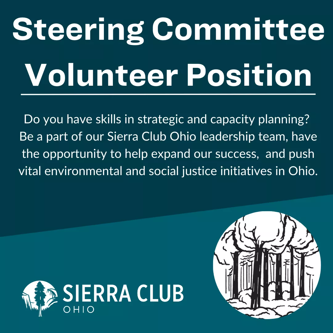 Steering Committee Volunteer Position Opening