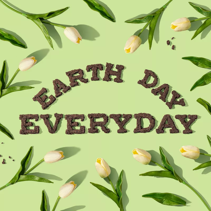 Earth Day Every Day - Yellow tulips and green leaves 
