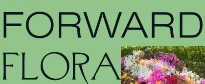 Forward Flora
