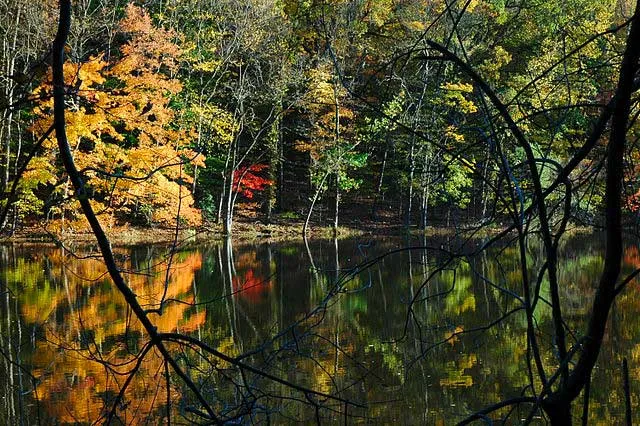 South Mountain Reservation