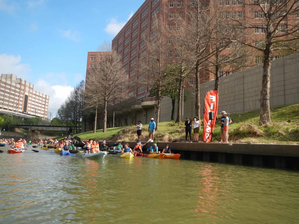 Regatta lineup