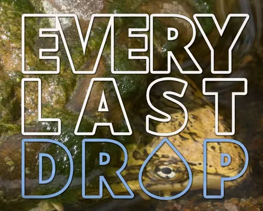 Film: Every Lat Drop