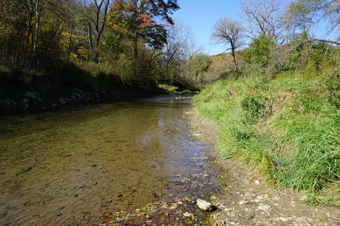 Bloody Run Creek in Clayton County, Iowa