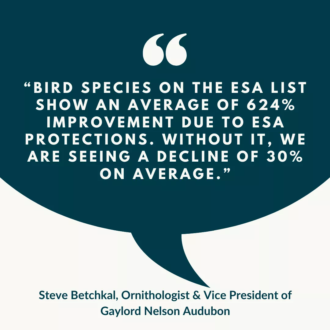 Bechtkal Quote
