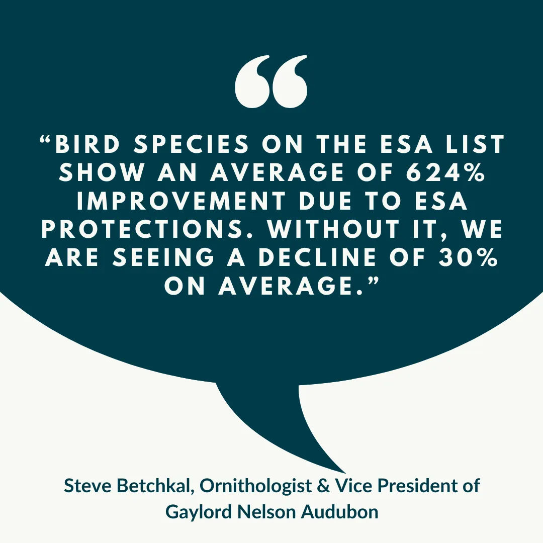 Bechtkal Quote