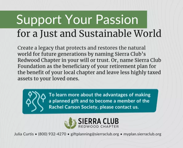 Support Your Passion for a Just and Sustainable World