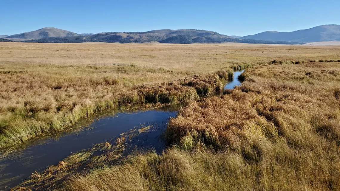 East Fork Jemez River in the caldera central valle looking northeast