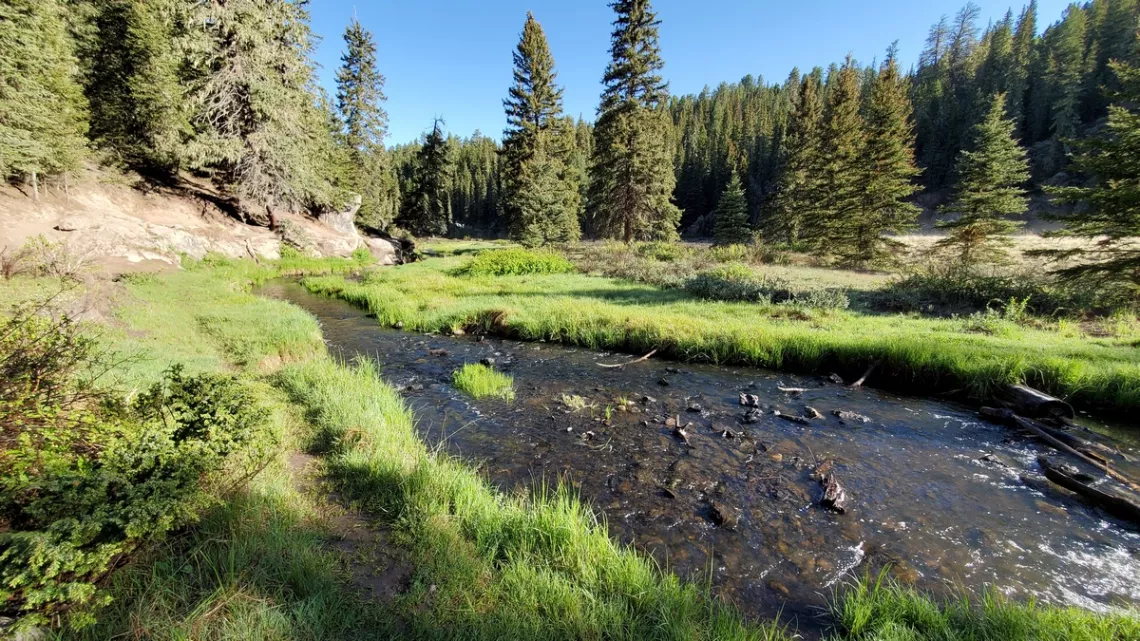 On the East Fork Trail 1/2 mile or so west from the Las Conchas trailhead