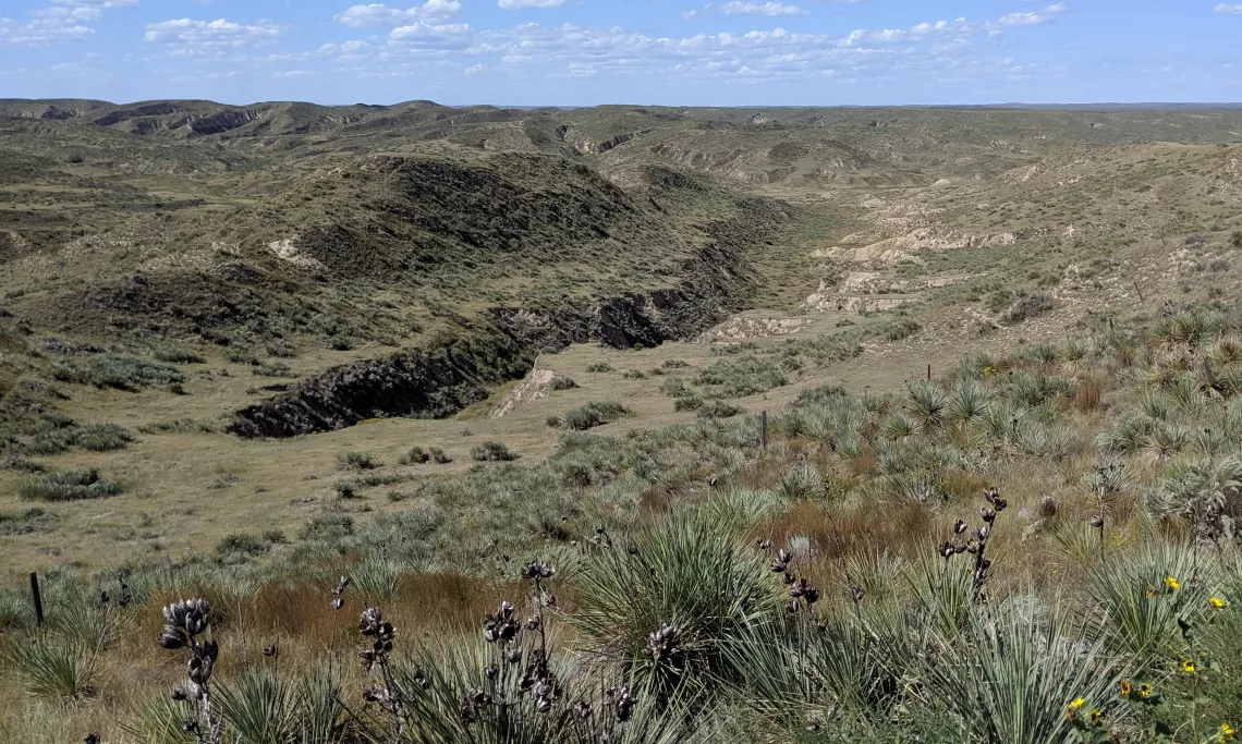 scenic terrain of deep ravines, canyons, and vertical cliffs with native grasses