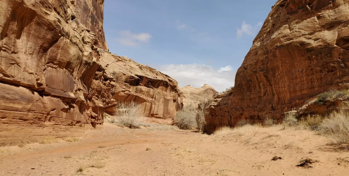 On the way back out of Horseshoe Canyon.