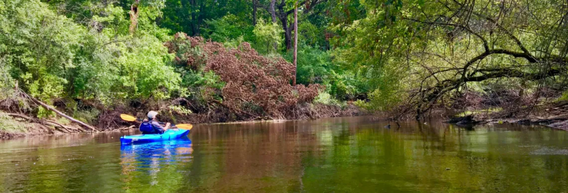 Des Plaines River Paddle