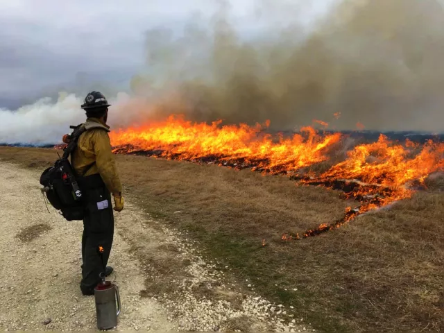 Man in hard hat watching burning on ground