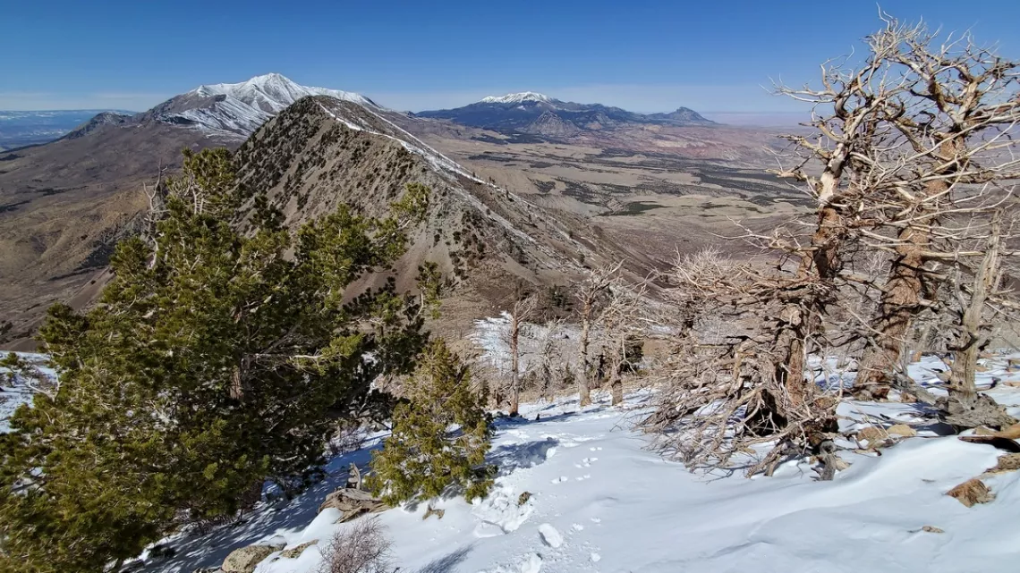 The snowy peak left is Mt Pennell, 11,339'. Mt Ellen is the snowy one upper center