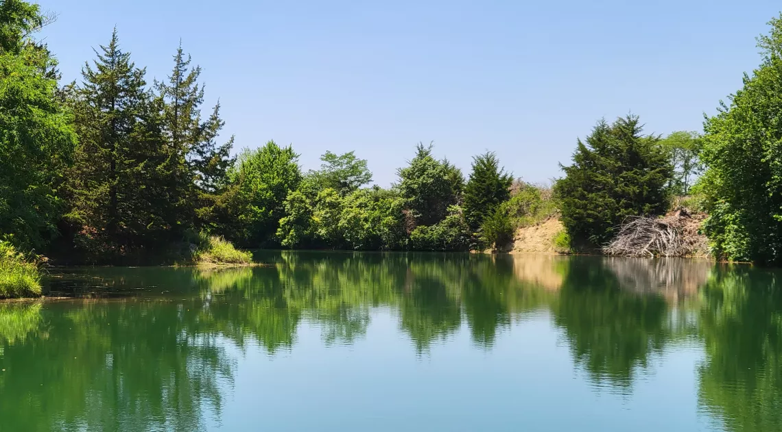Blue sky over blue lake surrounded by dense green trees