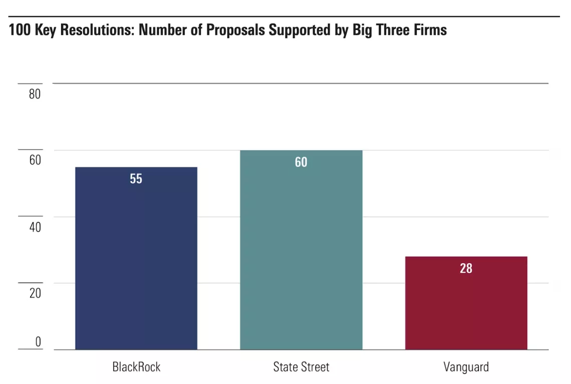 Morningstar Vanguard report