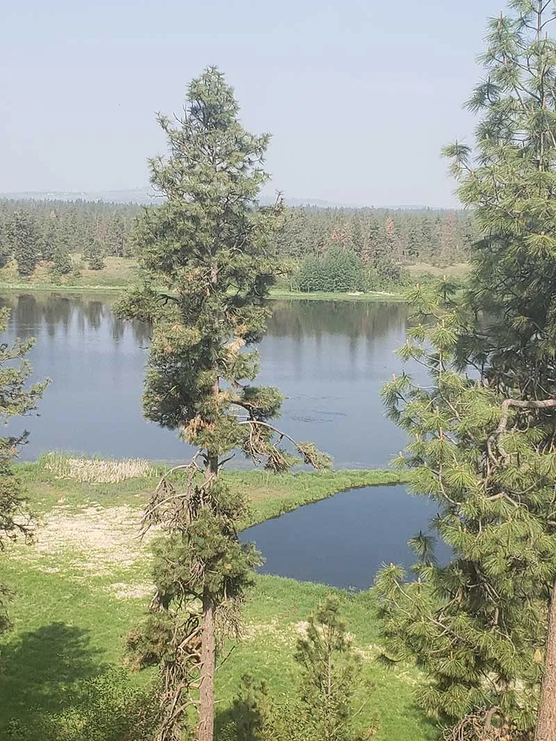 Upper Columbia Outings - Trees & Water