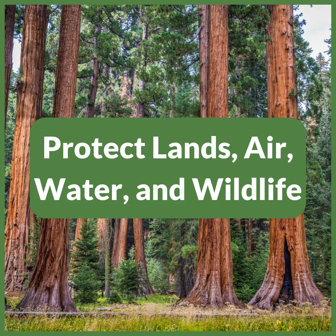 Protect lands, air, water, and wildlife