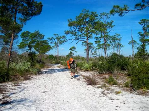 Beach Trail