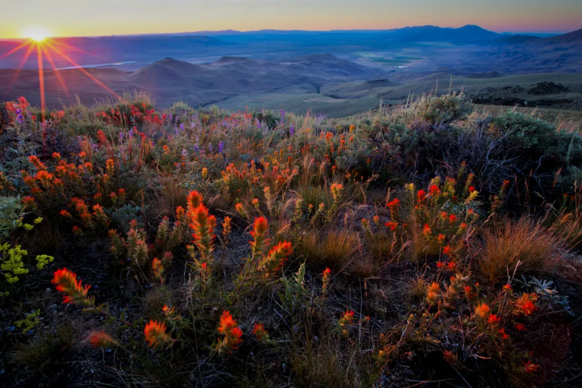 Bureau of Land Management photograph of the Pine Forest Range Wilderness Area, Nevada