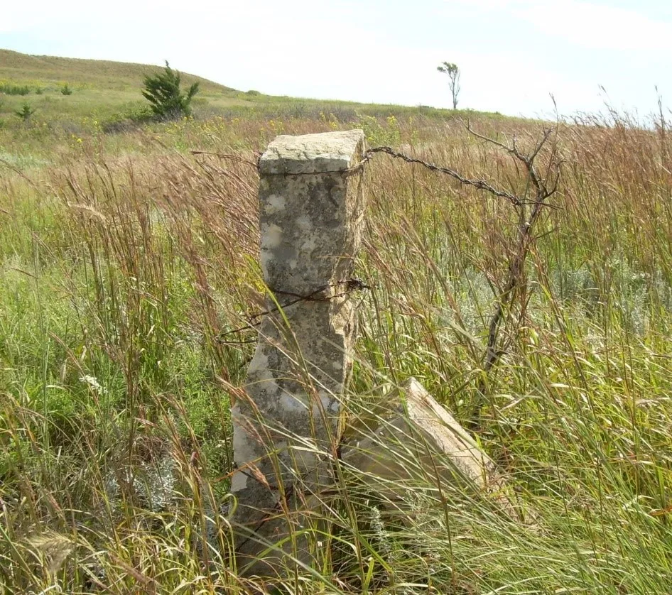 Rock fence post for barbed wire in hilly green field