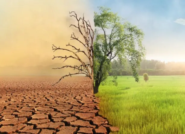 Climate Change