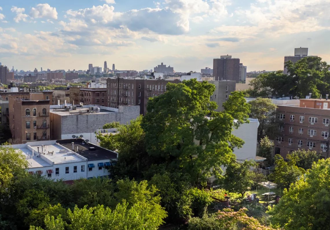 The Forest Service allocated $250 million to state and territory forestry agencies that are working in disadvantaged communities to increase and maintain a healthy urban canopy and access to nature.