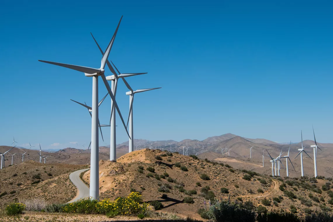 Pine Tree Wind and Solar Farm is part of NREL's 100% Renewable Energy Study.
