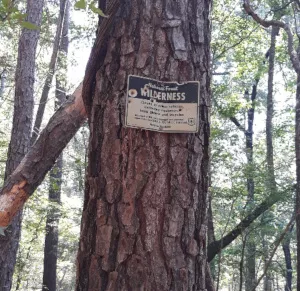 Big Slough Wilderness