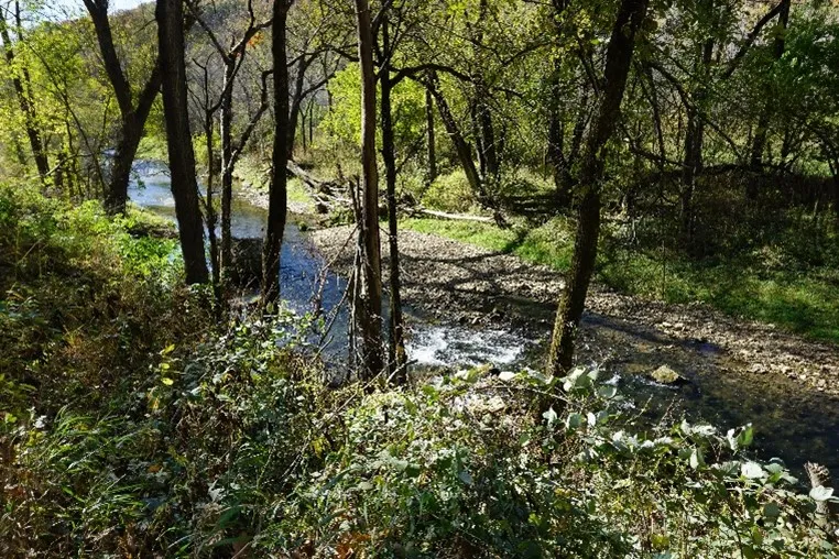 Bloody Run Creek, Photo by Pamela Mackey Taylor