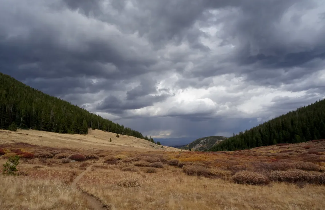 Buffalo Peaks Wilderness