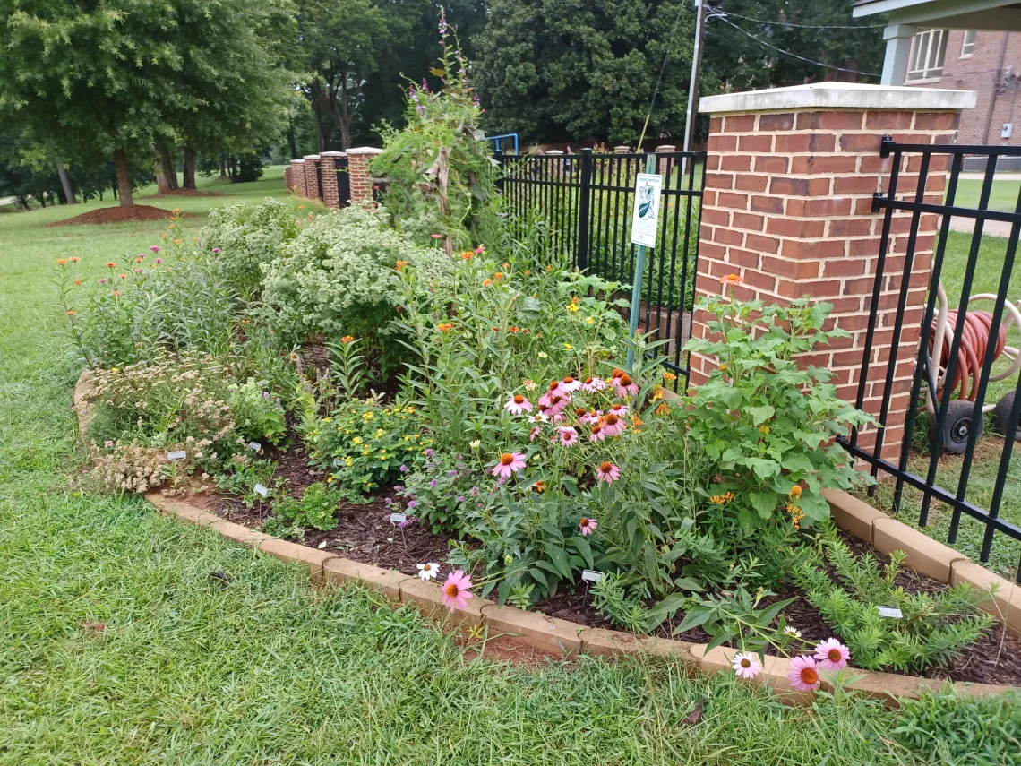 Middle Chattahoochee Group Pollinator Garden