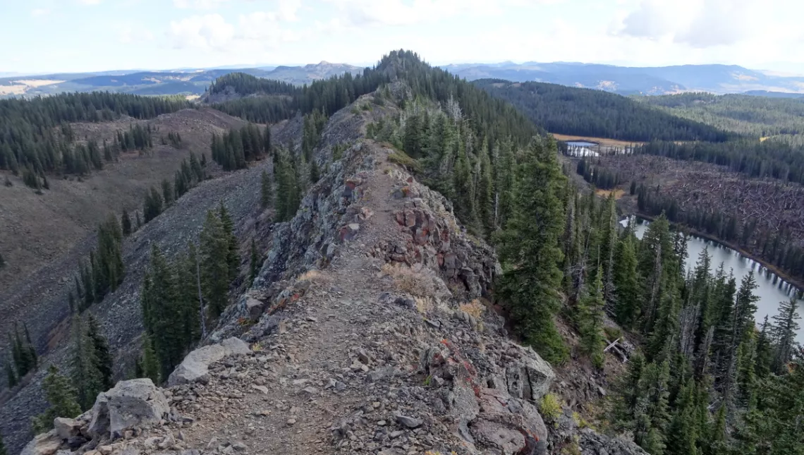 Grand Mesa National Forest.