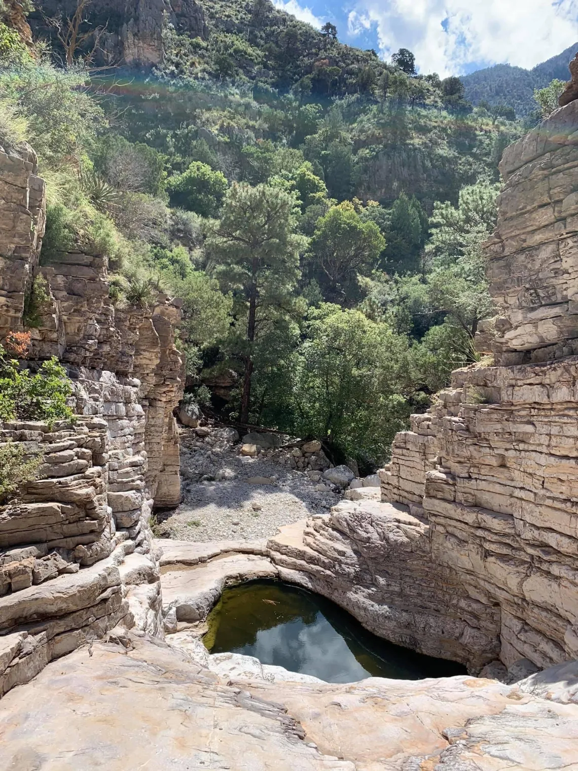 Guadalupe Mountains