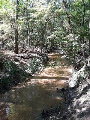 Little Lake Creek Wilderness