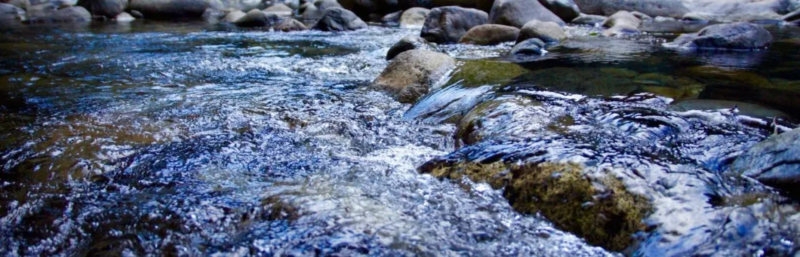 Sierra Club Water Sentinels Website Header - Babbling Brook