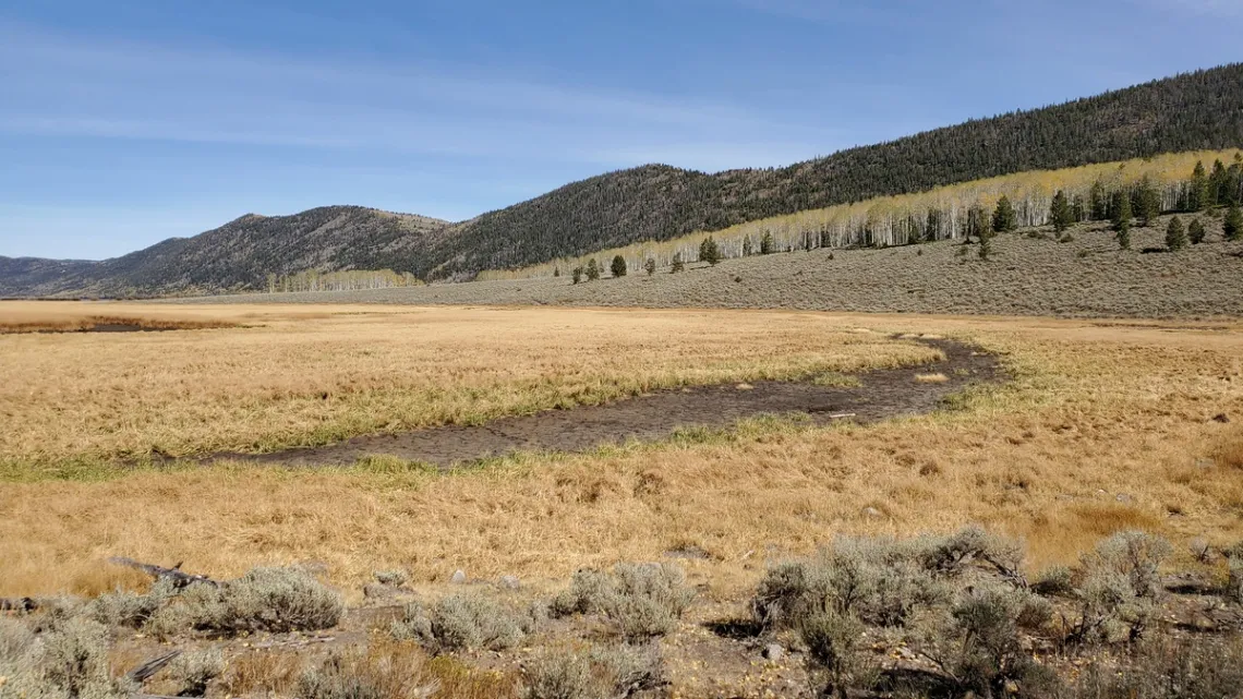 Marsh at the southwest end of Fish Lake