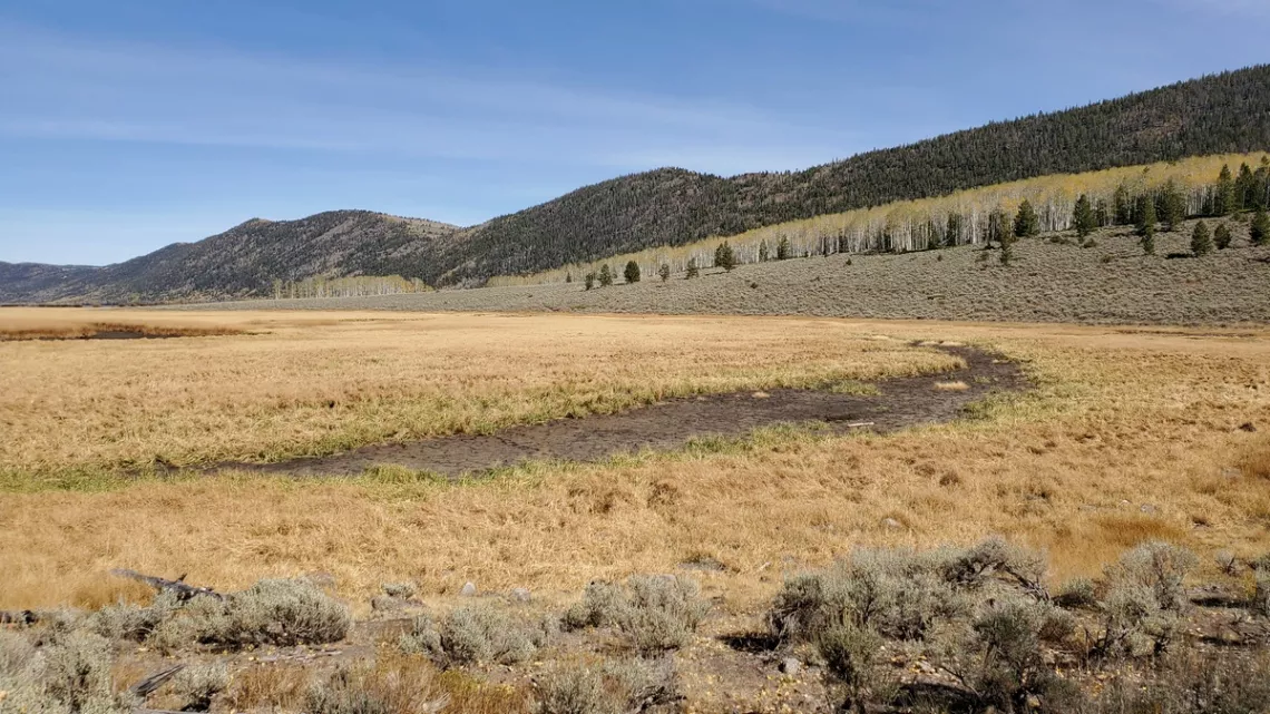 Marsh at the southwest end of Fish Lake