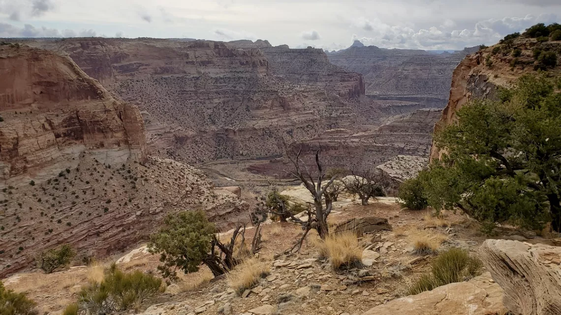 On the Goodwater Canyon Rim trail.